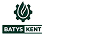 Мухамбетяр А.М., ТОО "BATYSKENT GROUP"