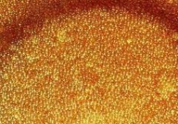 Ионообменная смола Amberlite (Амберлайт) SR 1L